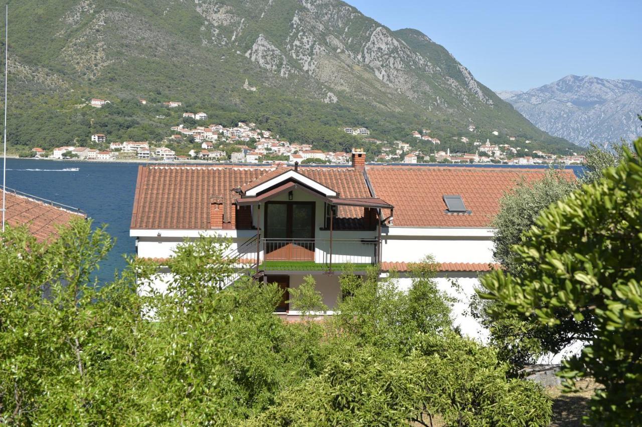 Apartament Viva Kotor Zewnętrze zdjęcie